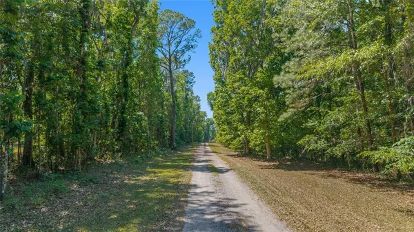 $2,000,000 | 20005 Northwest 135th Avenue, Micanopy, FL 32667
