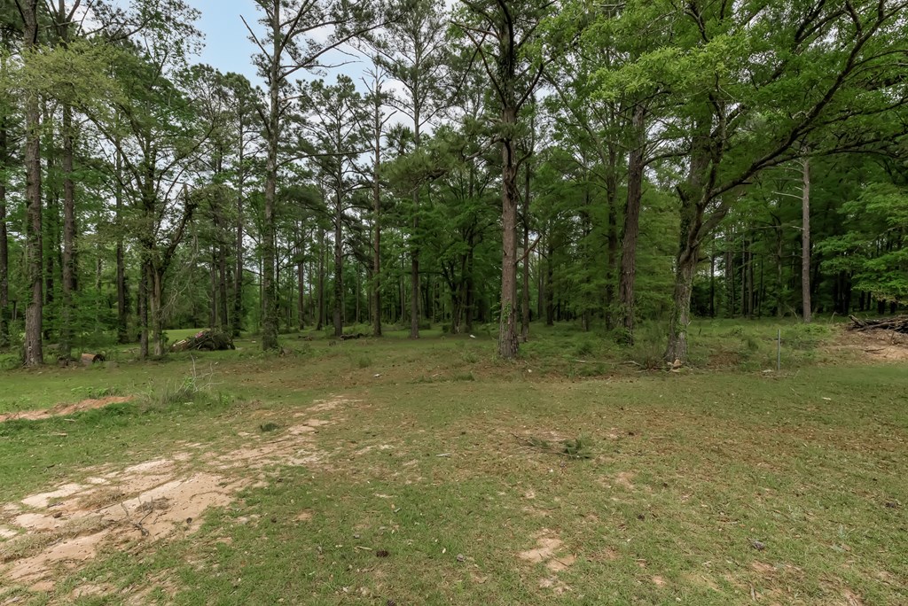 347 Hooper Cherry Road Dothan, AL 36301 - Photo 53 of 53