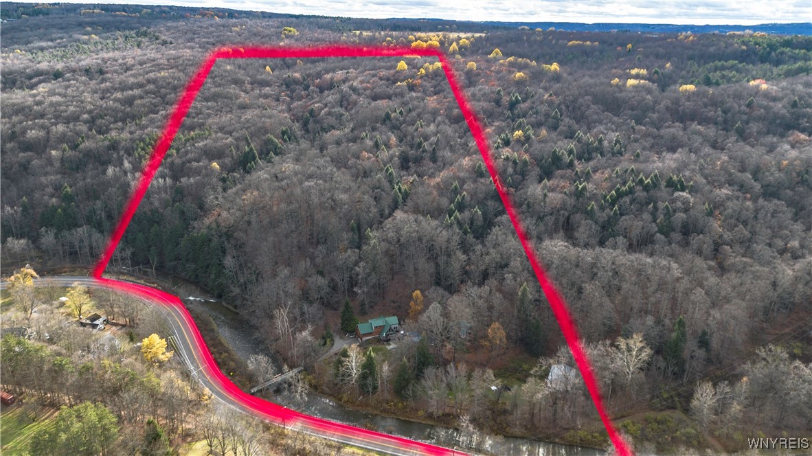 9138 State Road Colden, NY 14033 - Photo 7 of 49