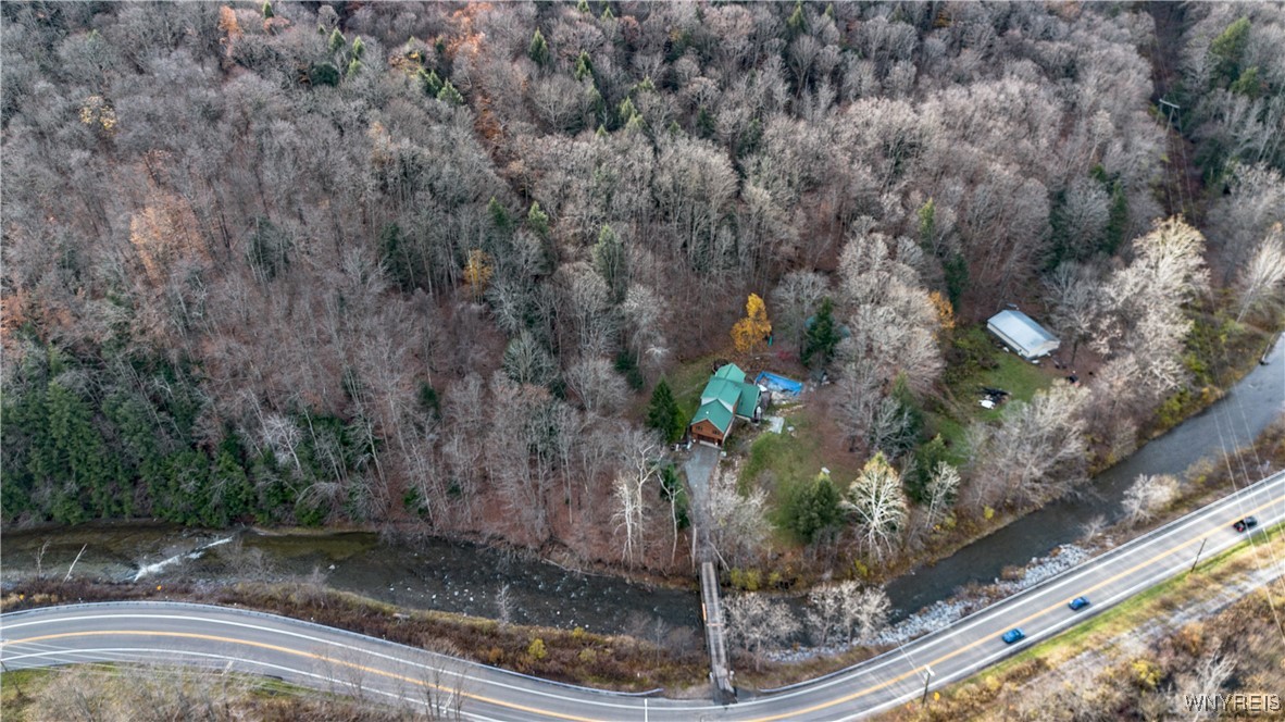 9138 State Road Colden, NY 14033 - Photo 9 of 49