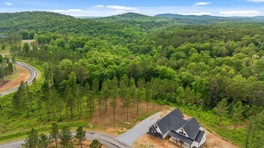 Lot 331 Twisted Oak Road Talking Rock, GA 30175 - Photo 11 of 38 Gallery Image 11