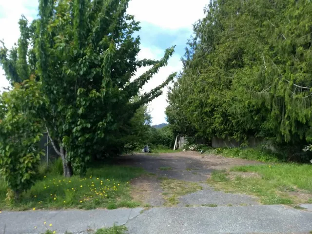 a view of backyard with green space