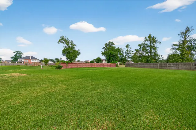a view of yard with grass and trees