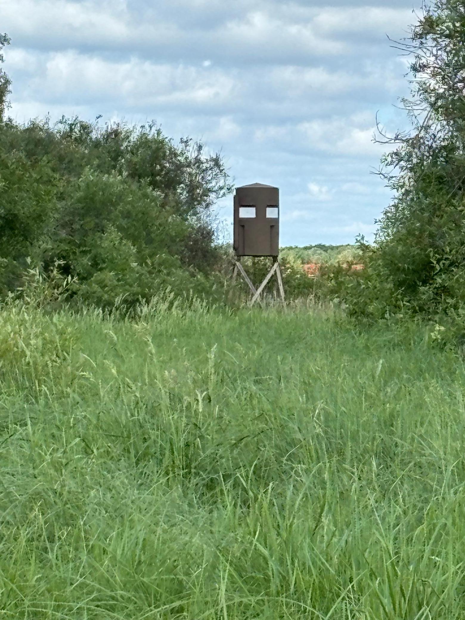 7 Bagley Mn 56621 Bagley, MN 56621 - Photo 1 of 11