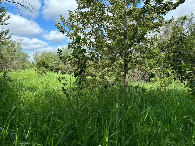 $140,000 | 7 Bagley Mn 56621, Bagley, MN 56621