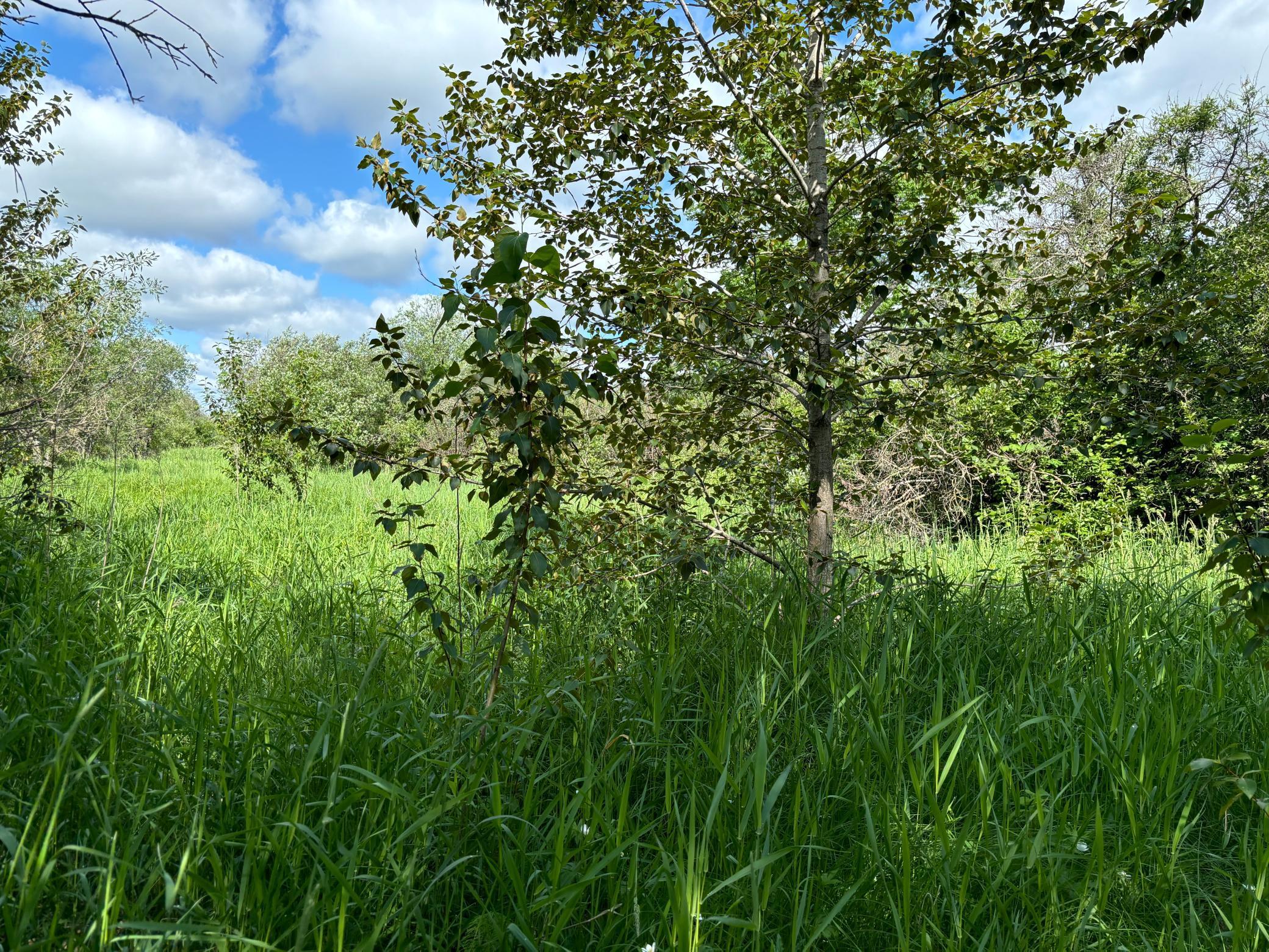 7 Bagley Mn 56621 Bagley, MN 56621 - Photo 3 of 11