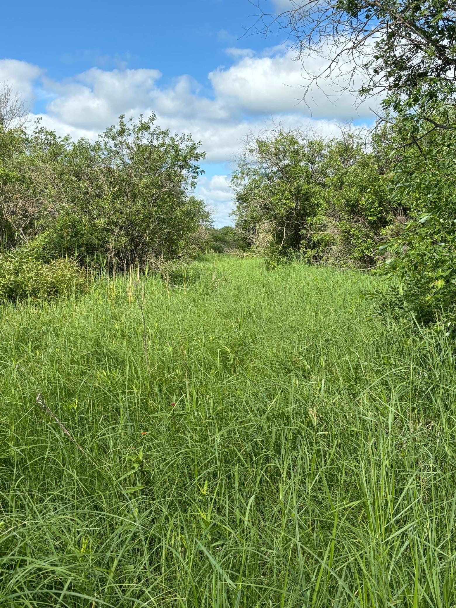 7 Bagley Mn 56621 Bagley, MN 56621 - Photo 4 of 11