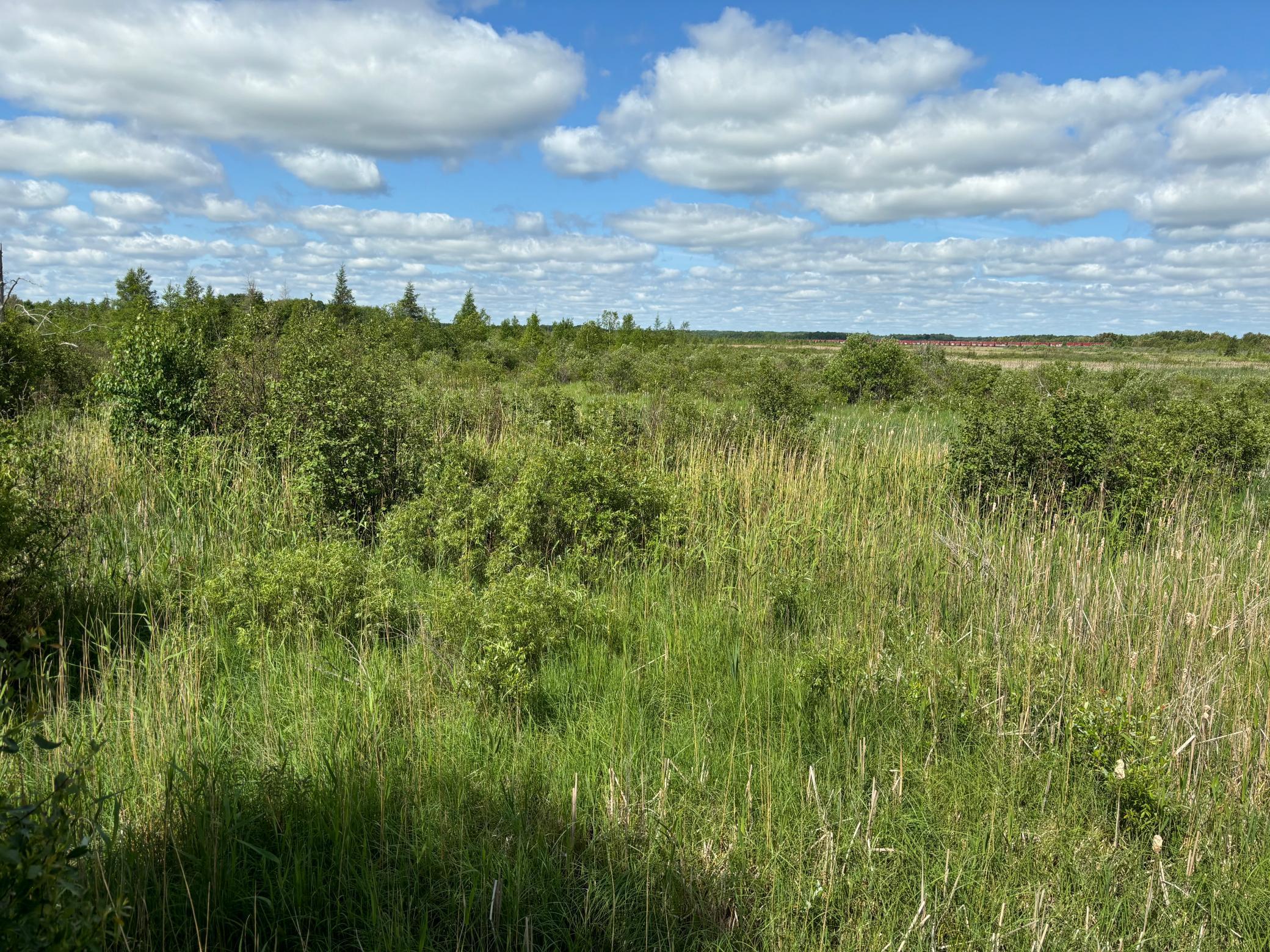 7 Bagley Mn 56621 Bagley, MN 56621 - Photo 5 of 11