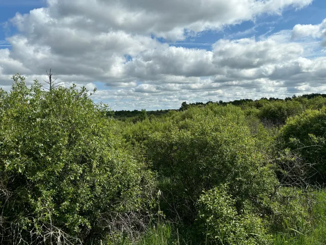 $140,000 | 7 Bagley Mn 56621, Bagley, MN 56621