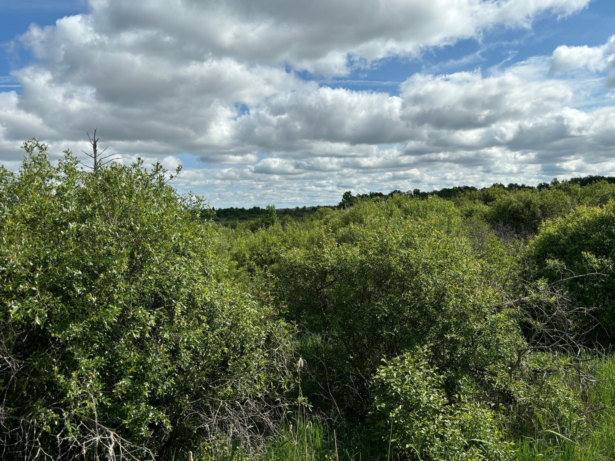 7 Bagley Mn 56621 Bagley, MN 56621 - Photo 8 of 11