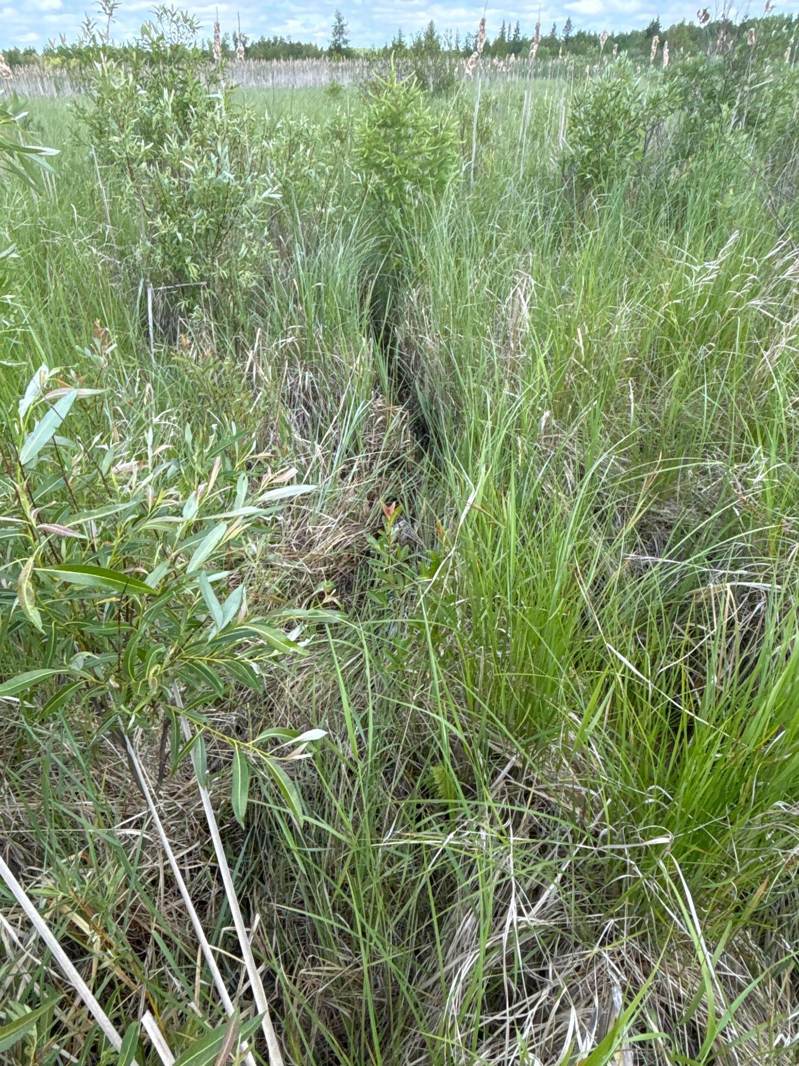 7 Bagley Mn 56621 Bagley, MN 56621 - Photo 9 of 11