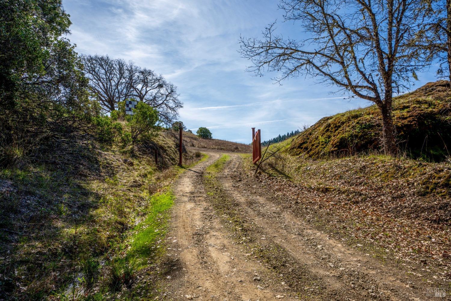 20401 Tomki Road Redwood Valley, CA 95470 - Photo 16 of 35 a view of a yard with large trees