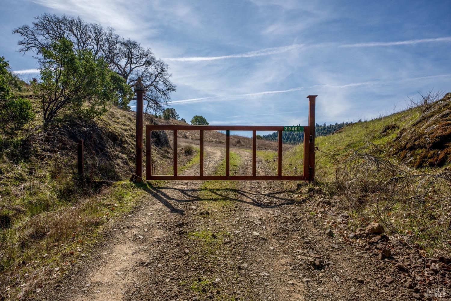 20401 Tomki Road Redwood Valley, CA 95470 - Photo 17 of 35 a view of a yard with a tree