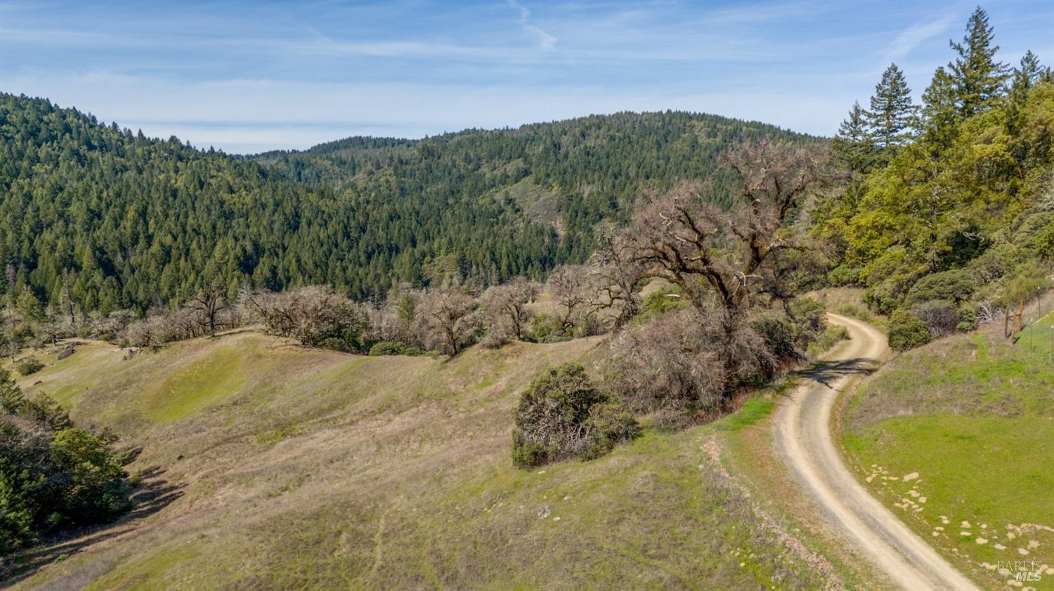 20401 Tomki Road Redwood Valley, CA 95470 - Photo 2 of 35 a view of a yard with mountain