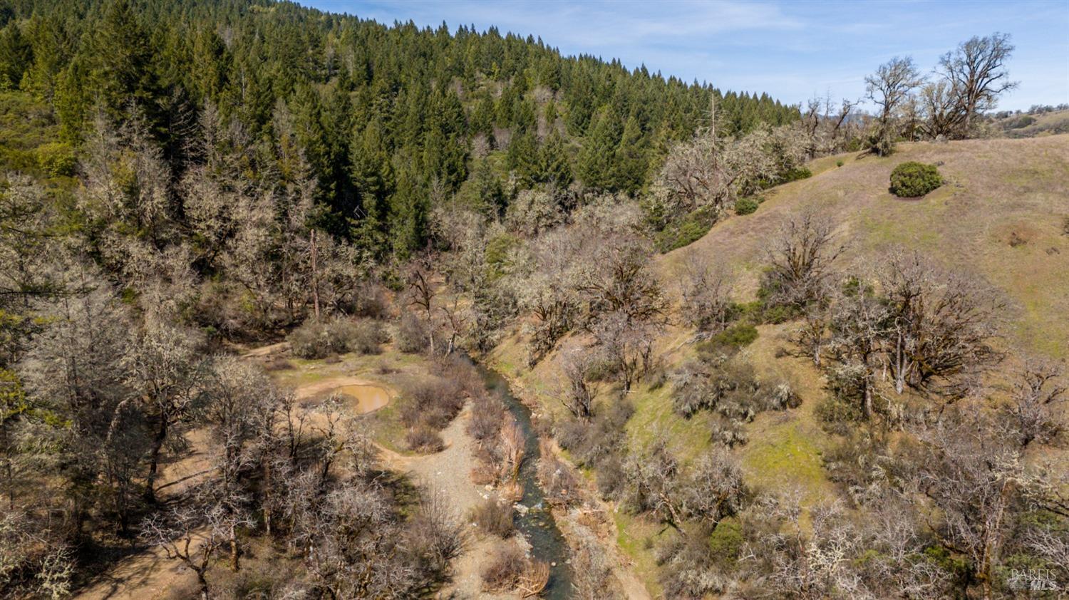 20401 Tomki Road Redwood Valley, CA 95470 - Photo 30 of 35 a view of a covered with trees