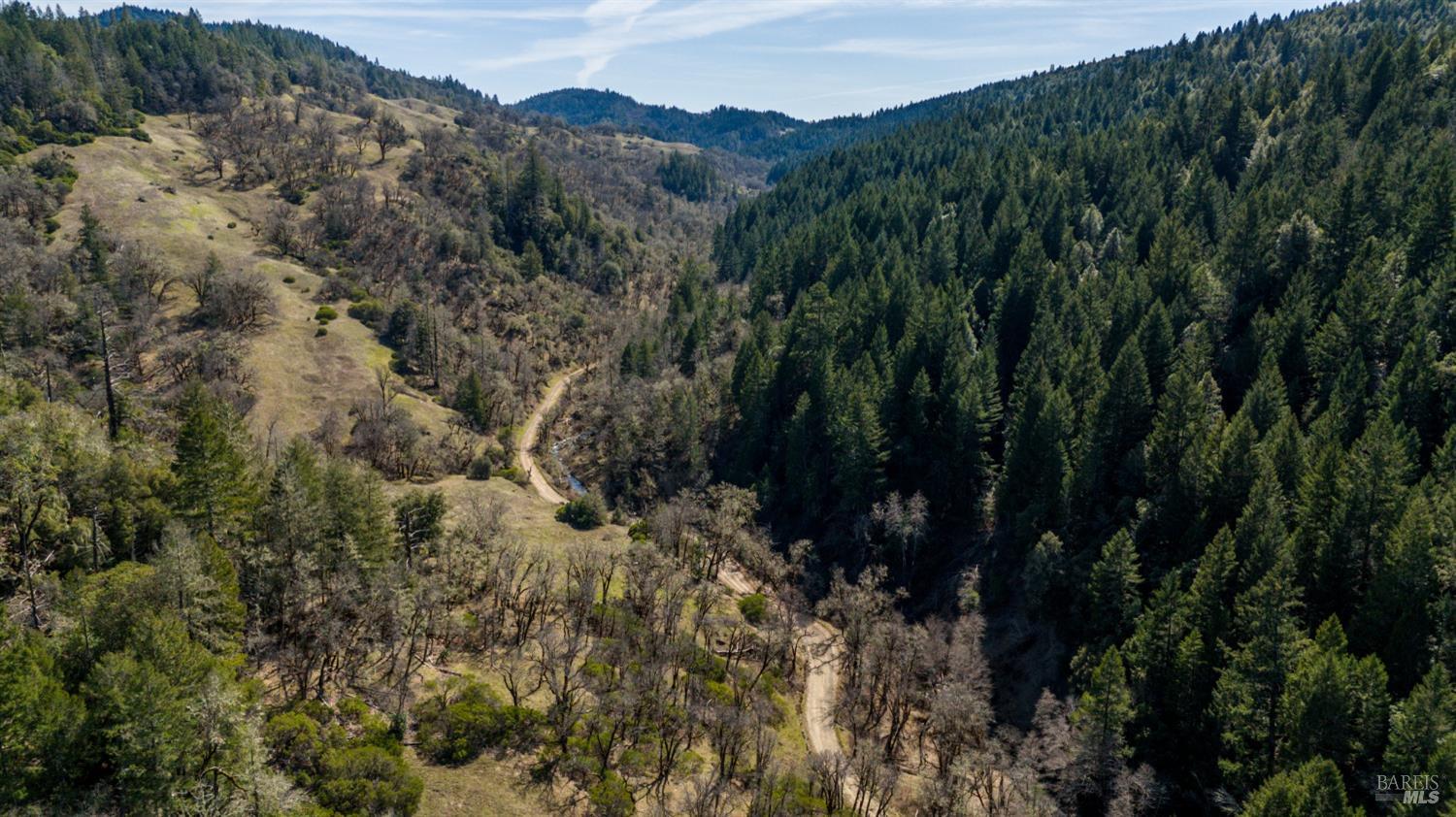20401 Tomki Road Redwood Valley, CA 95470 - Photo 33 of 35 a view of a forest with a tree