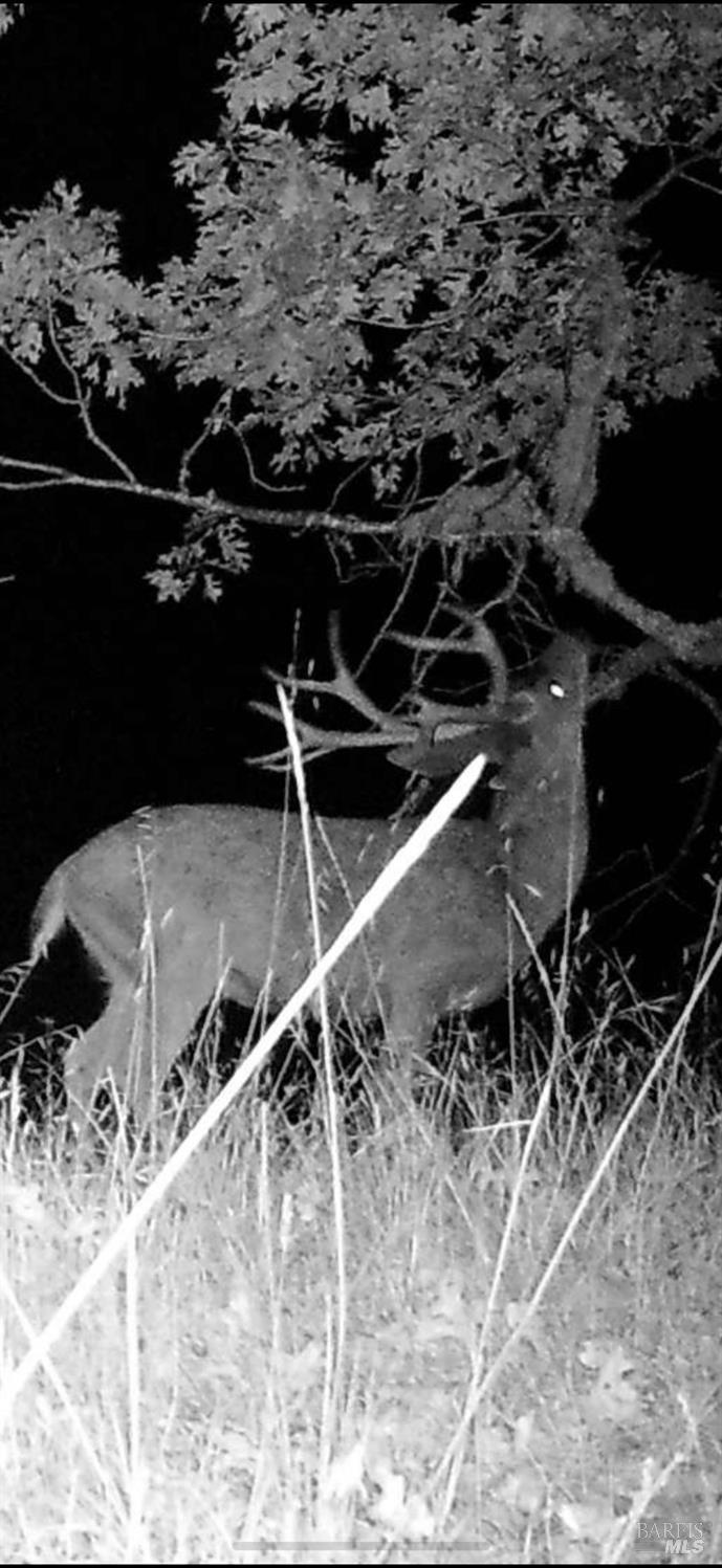20401 Tomki Road Redwood Valley, CA 95470 - Photo 34 of 35 a view of a backyard of the house