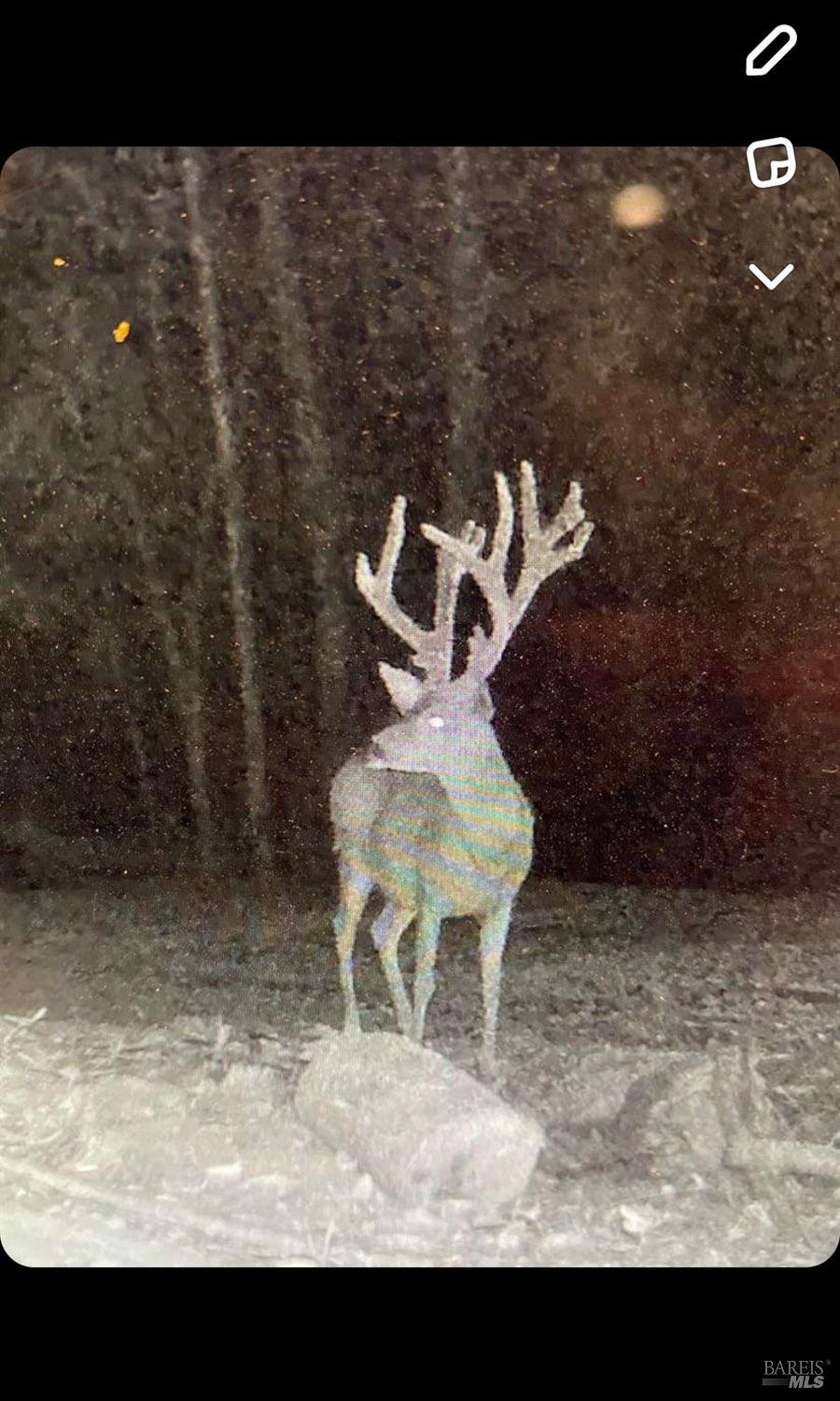 20401 Tomki Road Redwood Valley, CA 95470 - Photo 35 of 35