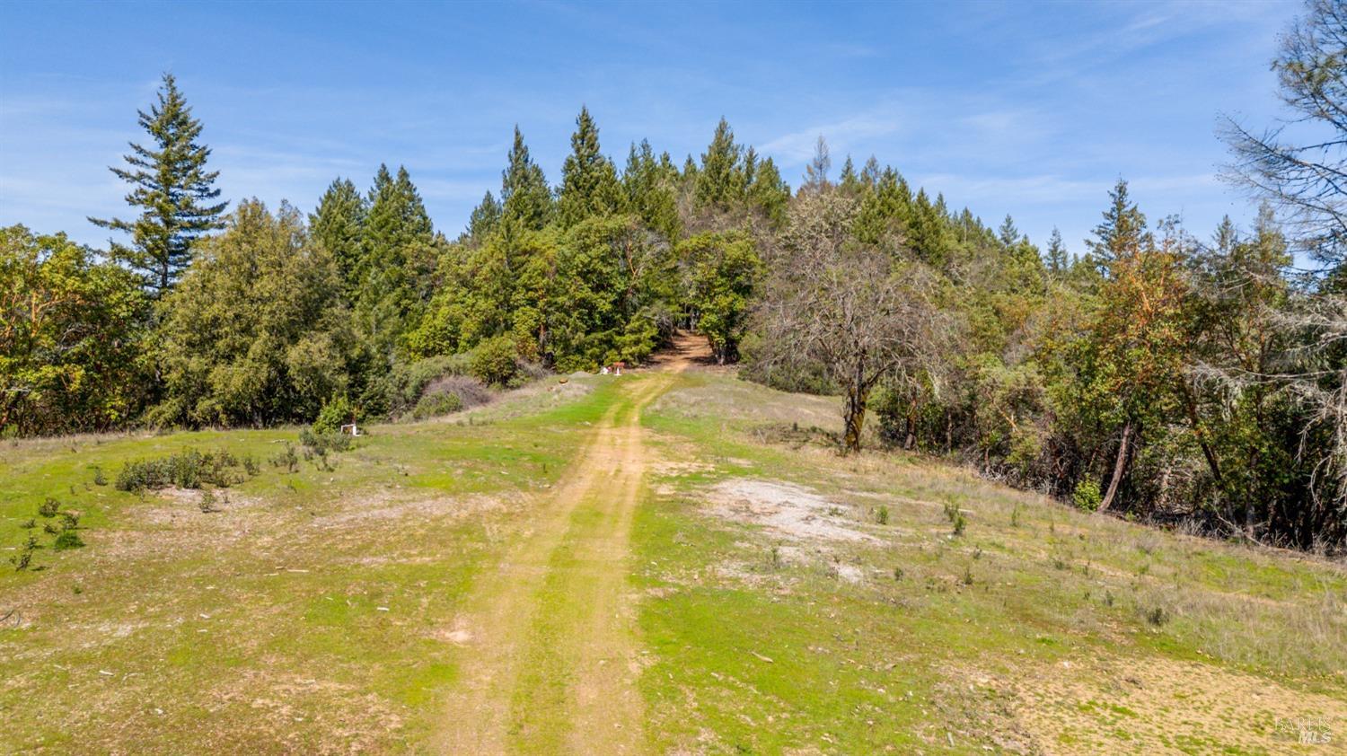 20401 Tomki Road Redwood Valley, CA 95470 - Photo 9 of 35 a view of a yard with trees