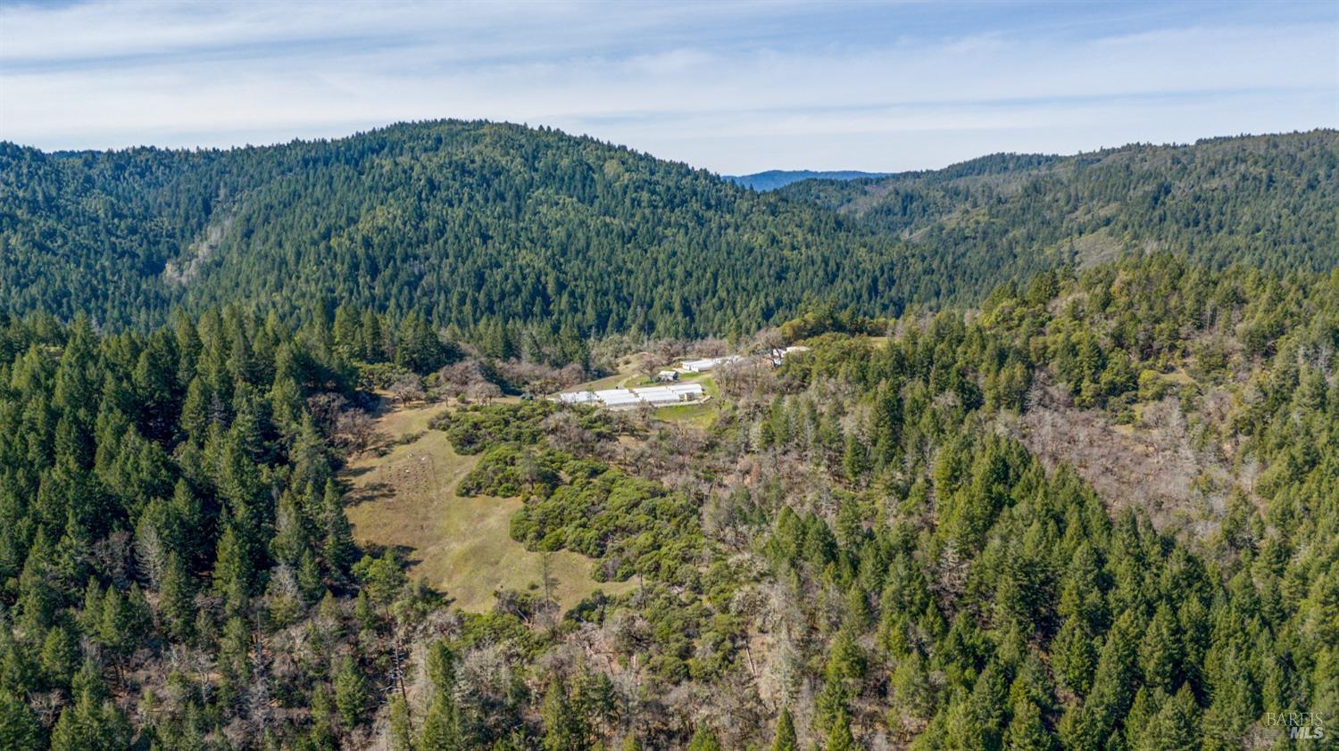 20401 Tomki Road Redwood Valley, CA 95470 - Photo 10 of 35 a view of a lush green forest with mountains in the background