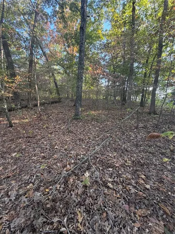 $8,500 | 9734 Derby Lane, Bonne Terre, MO 63628