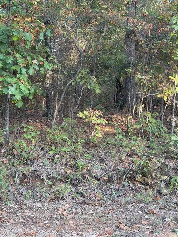 $8,500 | 9734 Derby Lane, Bonne Terre, MO 63628