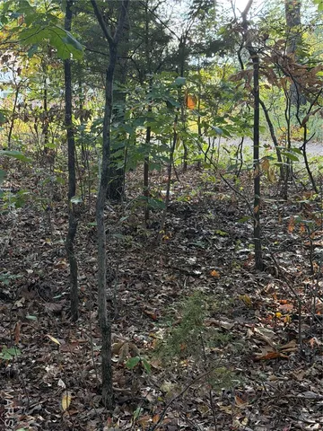 $8,500 | 9734 Derby Lane, Bonne Terre, MO 63628