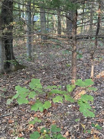 $8,500 | 9734 Derby Lane, Bonne Terre, MO 63628