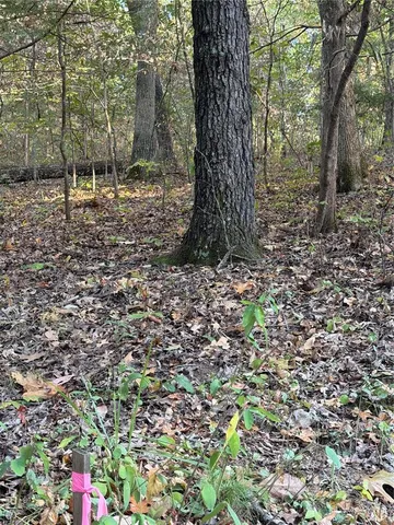 $8,500 | 9734 Derby Lane, Bonne Terre, MO 63628