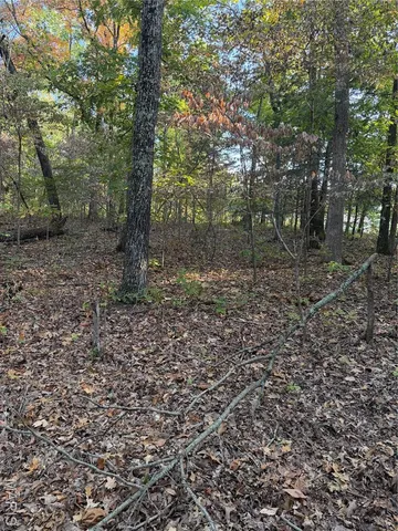 $8,500 | 9734 Derby Lane, Bonne Terre, MO 63628