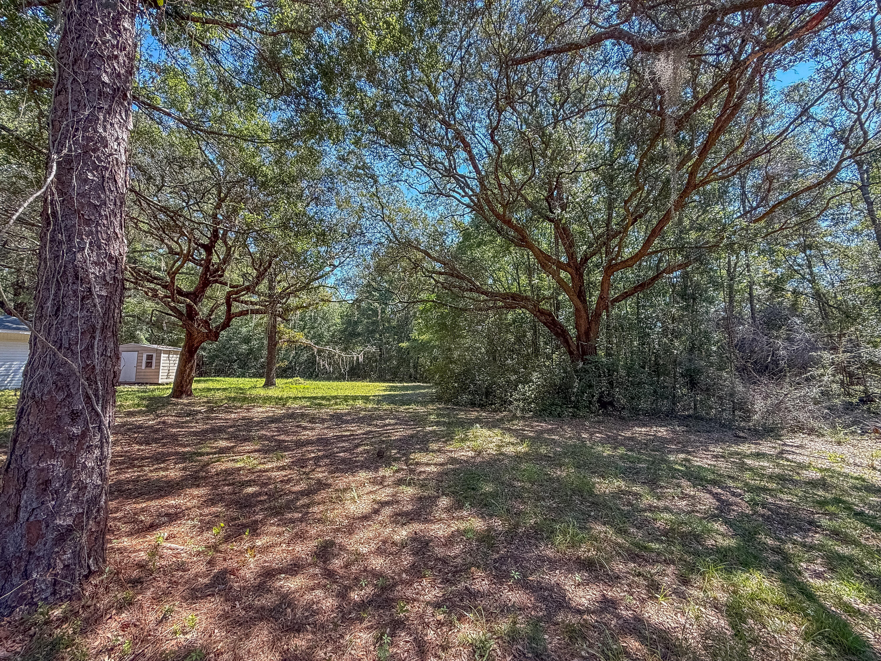 5703 Old River Road Baker, FL 32531 - Photo 21 of 27 IMG_6755-2