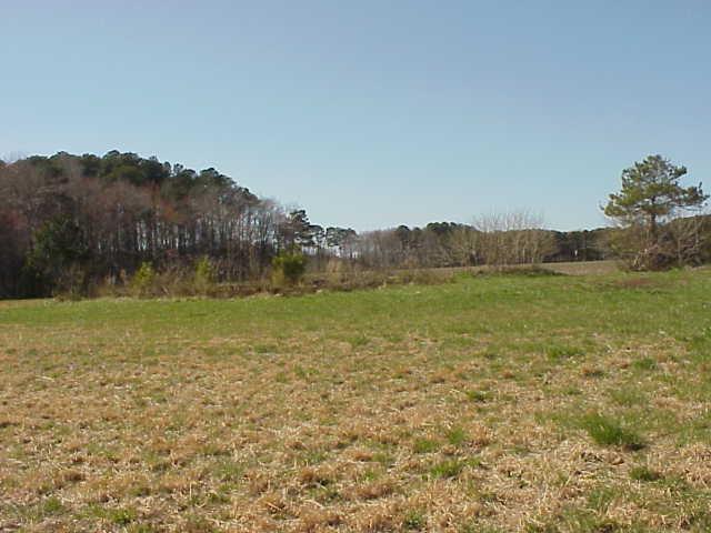 0 Church Road, Unit 104 Accomac, VA 23301 - Photo 4 of 6