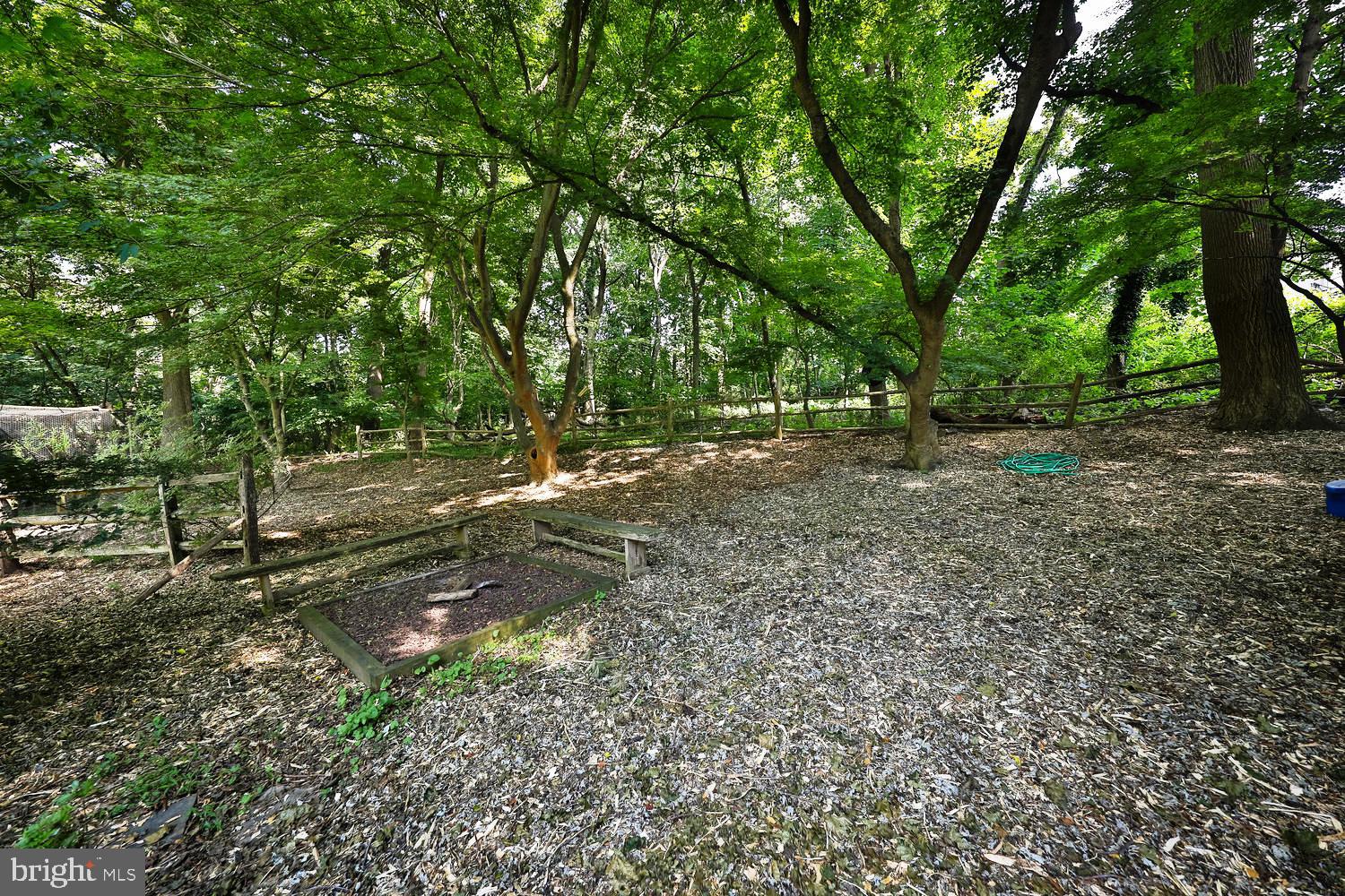 923 Rydal Road Jenkintown, PA 19046 - Photo 45 of 56 a view of a forest with trees