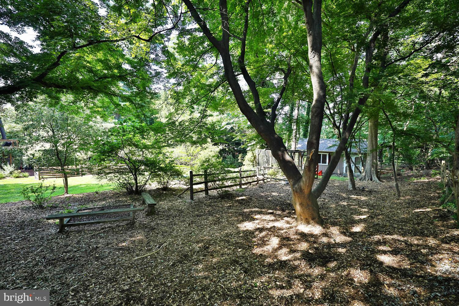 923 Rydal Road Jenkintown, PA 19046 - Photo 47 of 56 a view of some trees in a yard