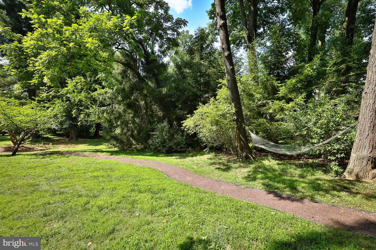 923 Rydal Road Jenkintown, PA 19046 - Photo 48 of 56 a view of a yard with a tree
