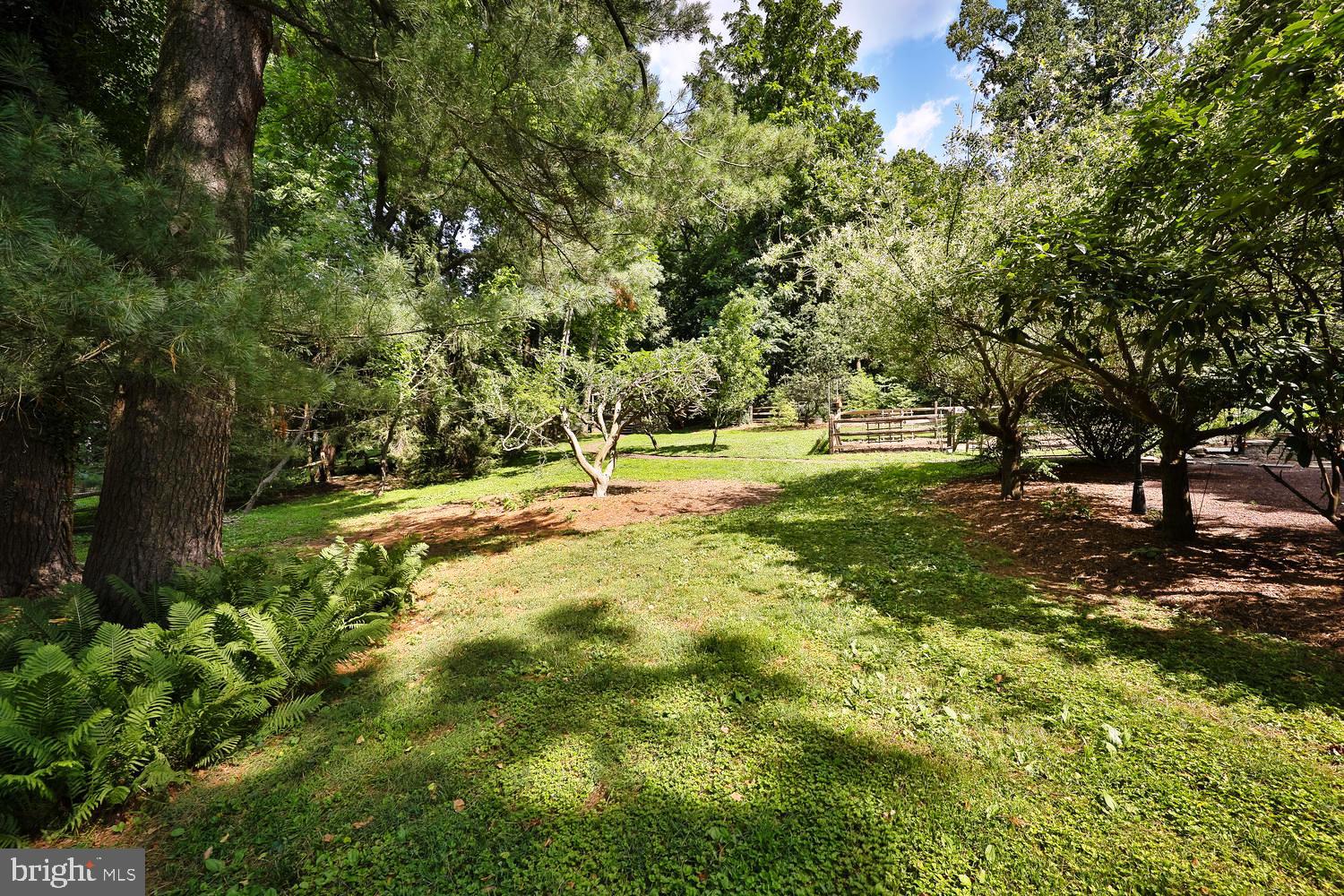 923 Rydal Road Jenkintown, PA 19046 - Photo 54 of 56 Woods and gardens