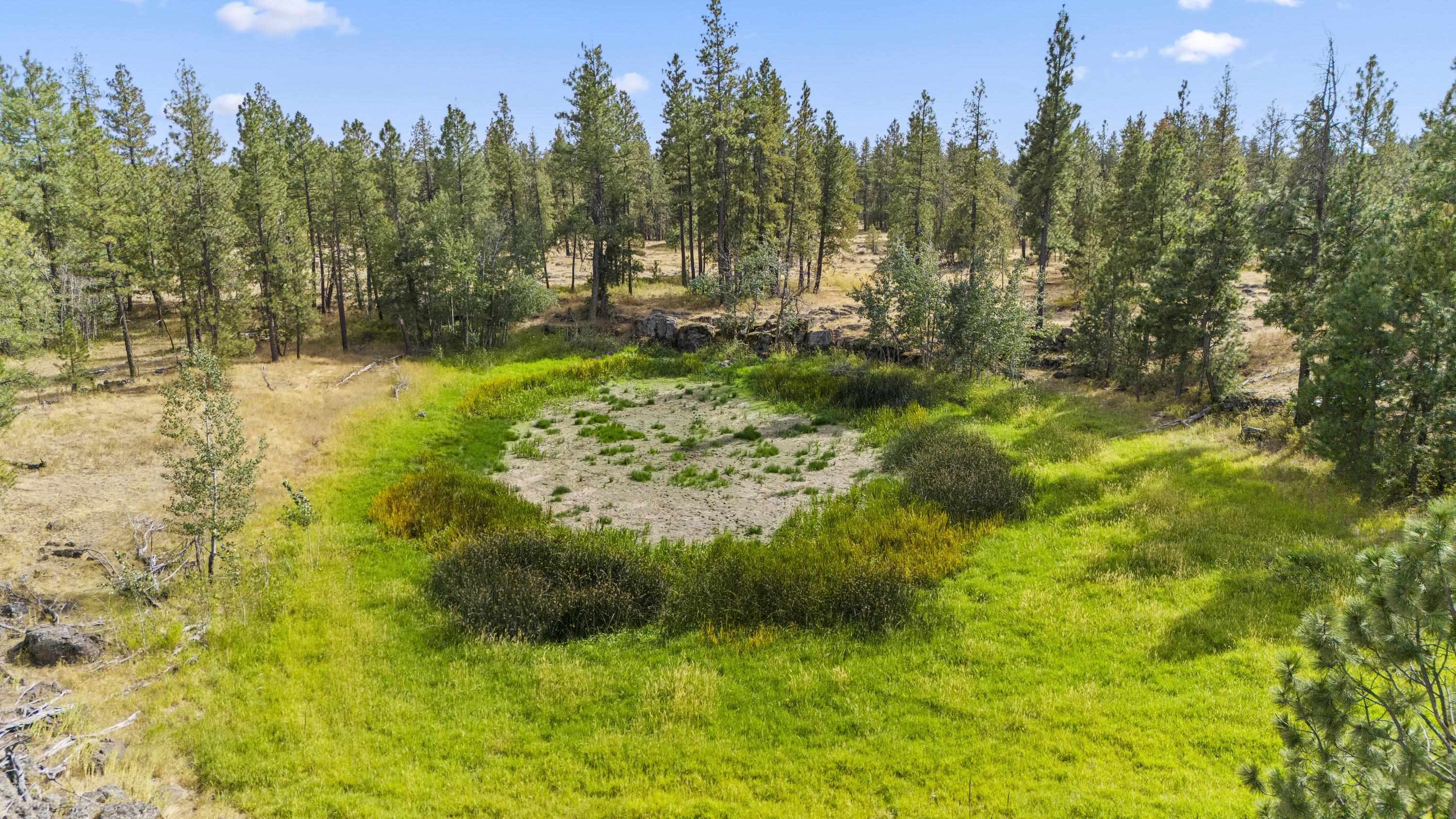 27820 West Drumheller Road Cheney, WA 99004 - Photo 39 of 48