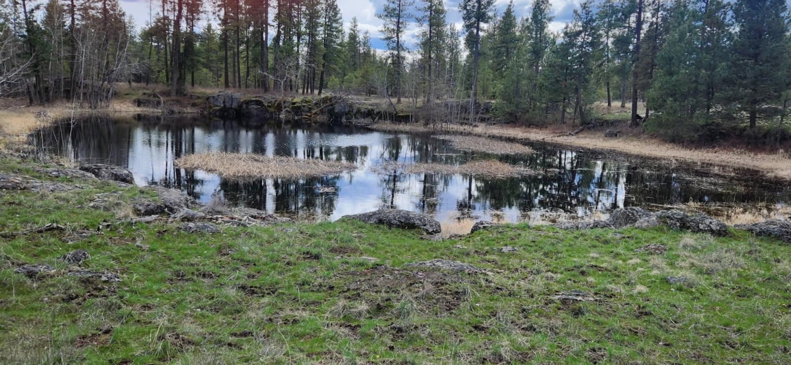 27820 West Drumheller Road Cheney, WA 99004 - Photo 40 of 48