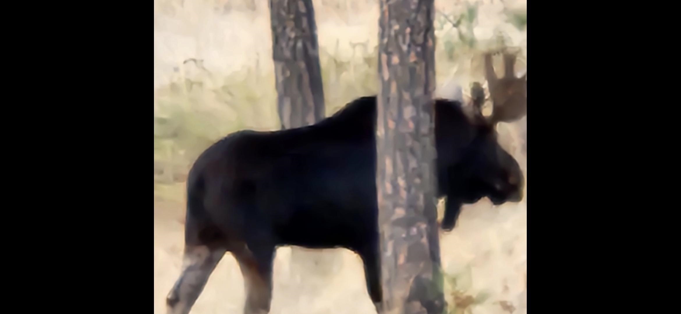 27820 West Drumheller Road Cheney, WA 99004 - Photo 47 of 48