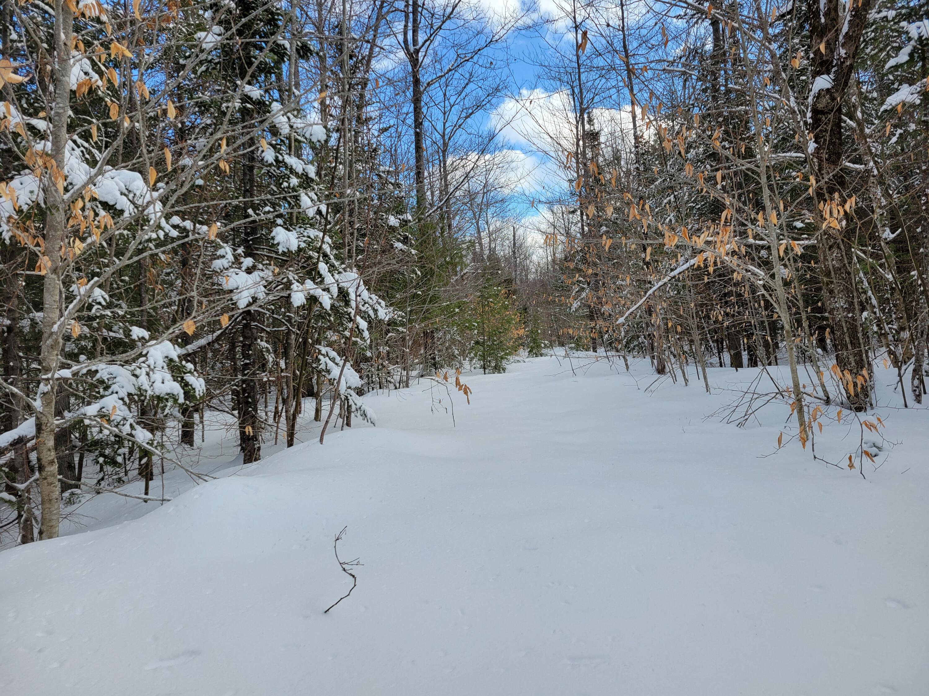 1 Songo Pond Road Bethel, ME 04217 - Photo 2 of 8 20250207_122814(1)