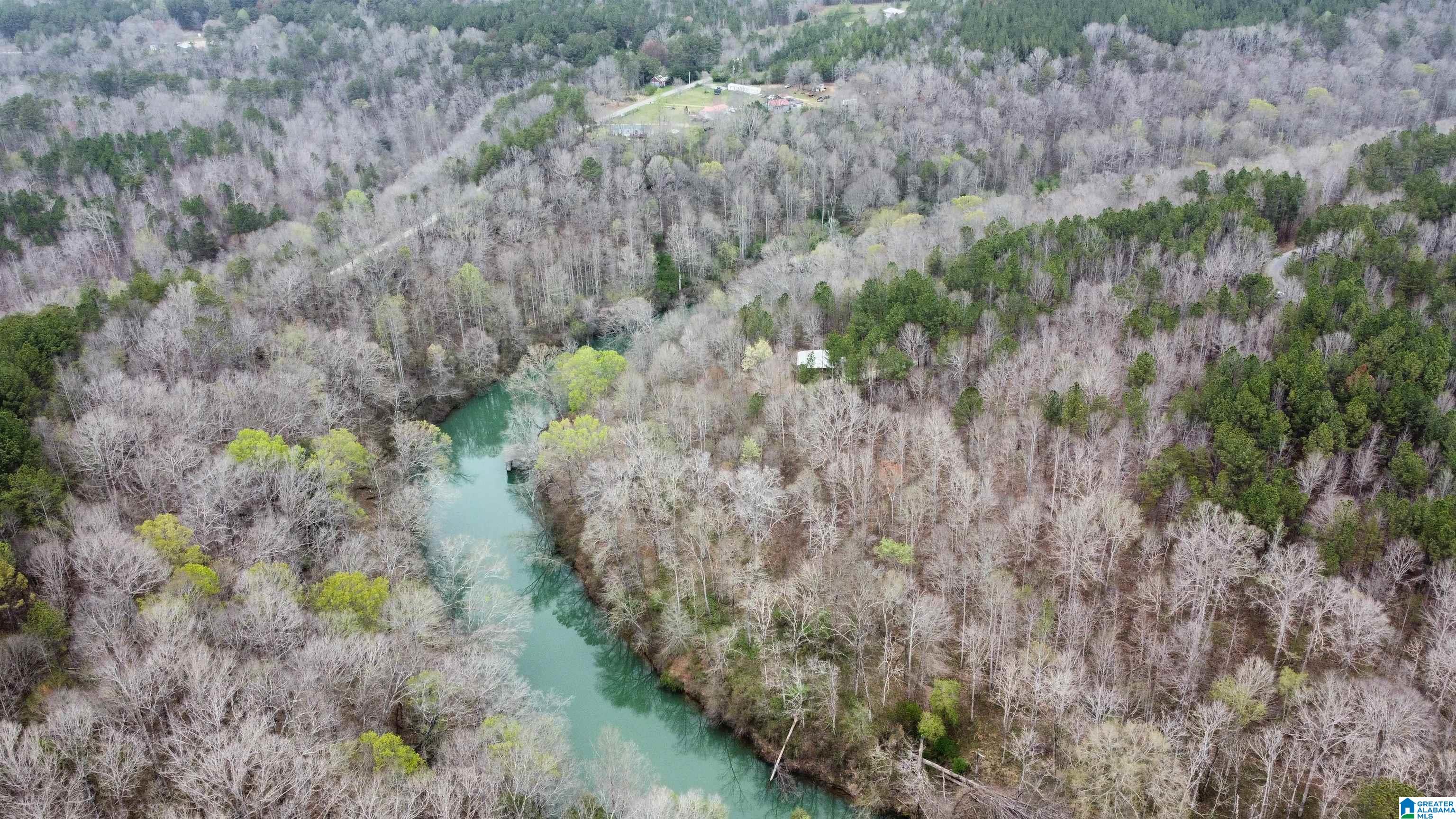 Lot 16 Turkey Bend Drive, Unit 16 Addison, AL 35540 - Photo 17 of 19