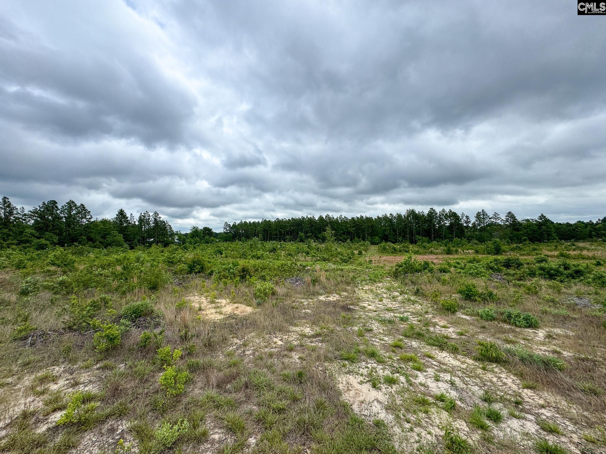0 Neely Wingard Road, Unit LOT 1 Leesville, SC 29070 - Photo 4 of 8