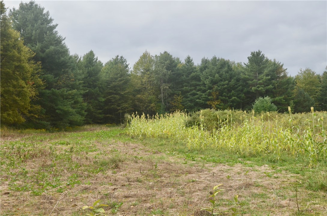 330 Tallow Hill Road Spencer, NY 14883 - Photo 6 of 9 Gallery Image 6