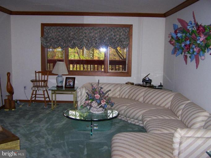 10 Redgate Court Silver Spring, MD 20905 - Photo 19 of 30 a living room with furniture and a potted plant