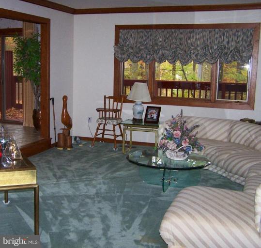 10 Redgate Court Silver Spring, MD 20905 - Photo 20 of 30 a living room with furniture a window and a potted plant