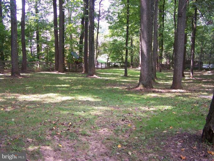 10 Redgate Court Silver Spring, MD 20905 - Photo 28 of 30 a view of a yard with a tree