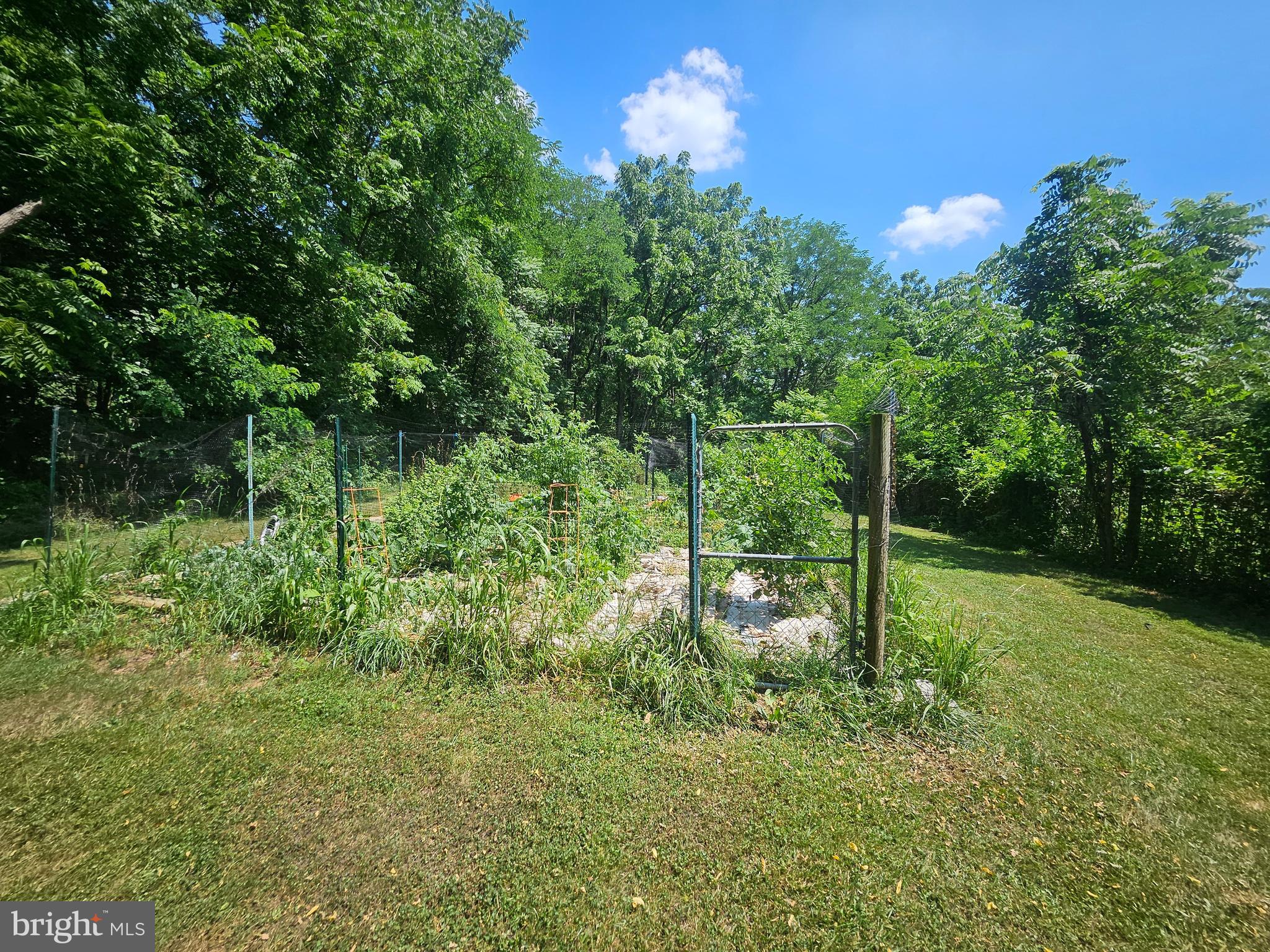 1918 Senseny Road Berryville, VA 22611 - Photo 40 of 58