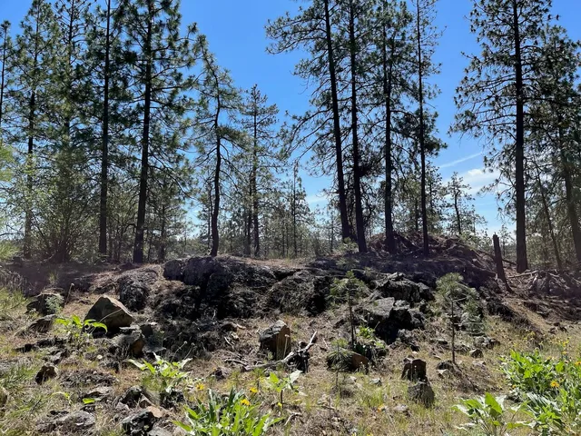 $48,000 | 3 Bob White Lane, Davenport, WA 99122