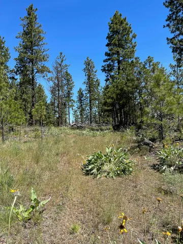 $48,000 | 3 Bob White Lane, Davenport, WA 99122