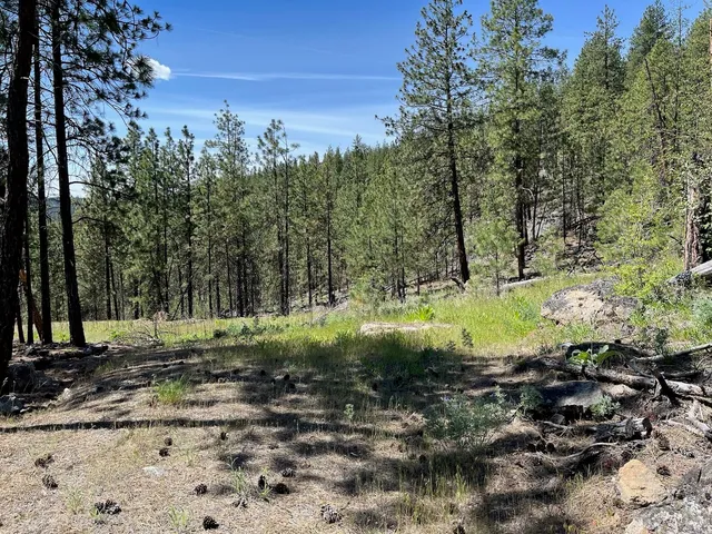 $48,000 | 3 Bob White Lane, Davenport, WA 99122